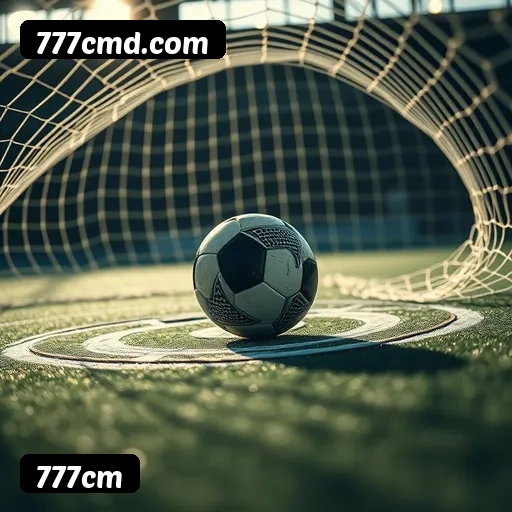 Níveis do programa VIP da 777cm